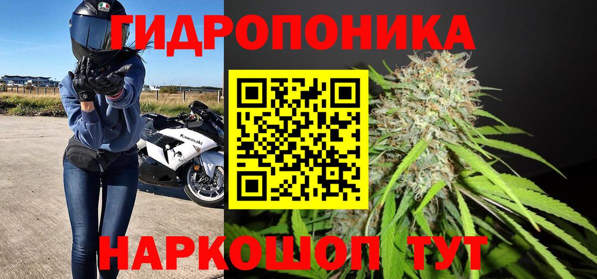 Бошки марихуана OG Kush  Марихуана марихуана  Вход с VPN  Бошки Шишки гибрид  Кушва 